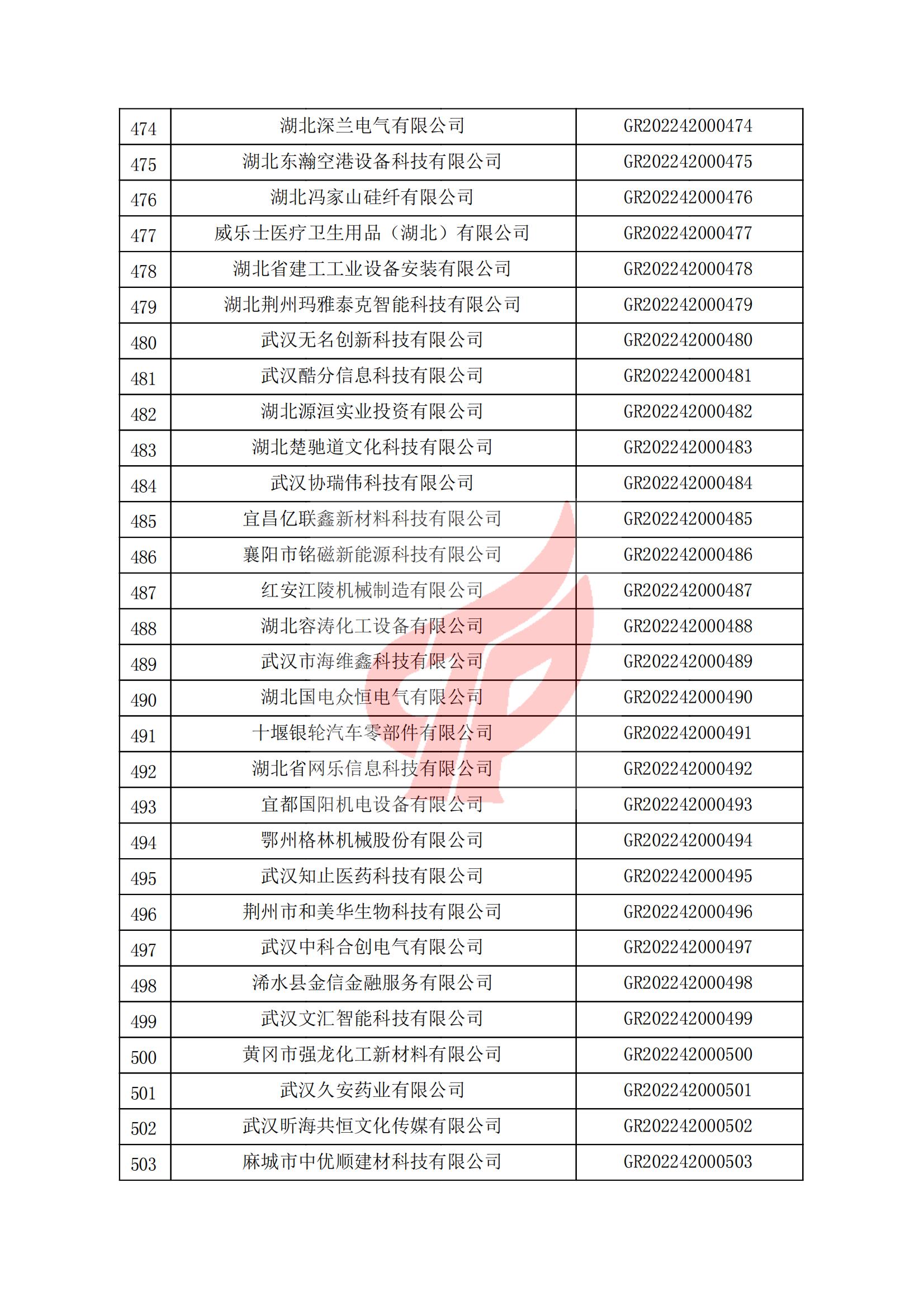 湖北省認定機構2022年認定的第一批高新技術企業(yè)備案名單_16